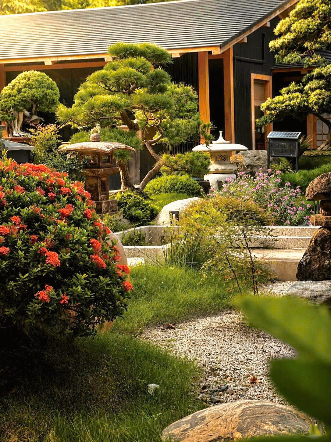 Góc vườn Zen với Bonsai